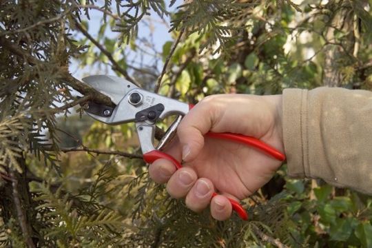 FELCO 31 Garten-Schere mit Amboss