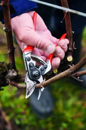 FELCO 14 Kompakt Garten- Rebschere für kleine Hände
