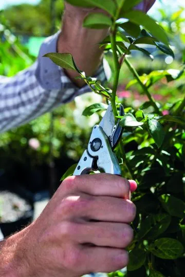 FELCO 14 Kompakt Garten- Rebschere für kleine Hände