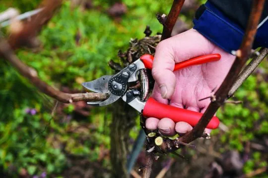 FELCO 15 Kompakt Rollgriff - Schere für kleine Hände