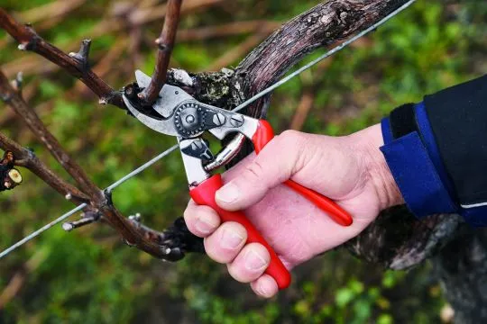 FELCO 15 Kompakt Rollgriff - Schere für kleine Hände