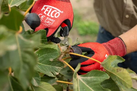 FELCO 320 Ernte- & Leseschere mit gebogener Klinge