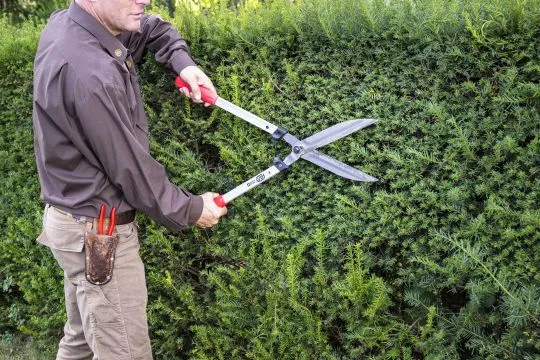 FELCO 250-57 Heckenschere 57cm
