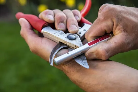 FELCO 905 Schleifwerkzeug