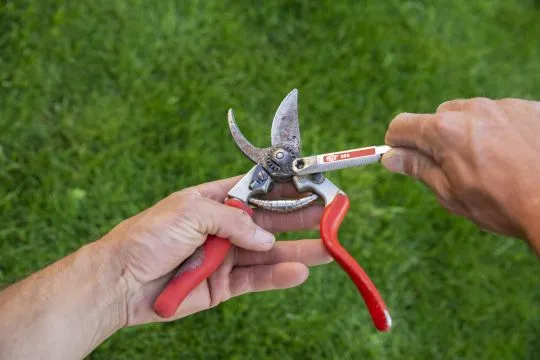 FELCO 905 Schleifwerkzeug