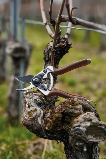 Geschenk-Set M: Felco 6 Elite + Felco 490 Lederschürze