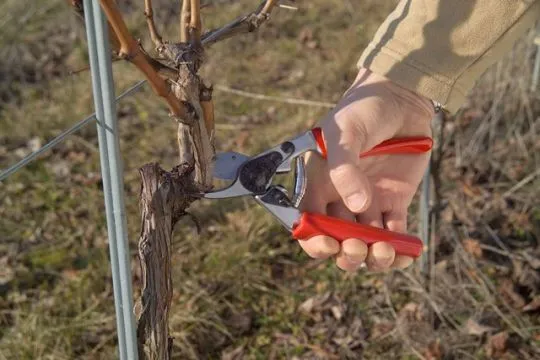 FELCO 12 Rollgriff-Schere - kleine Hände
