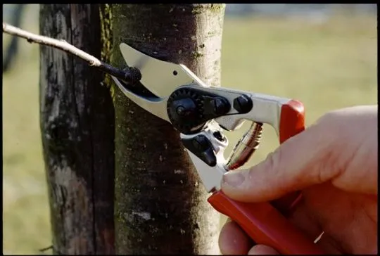 FELCO 12 Rollgriff-Schere - kleine Hände