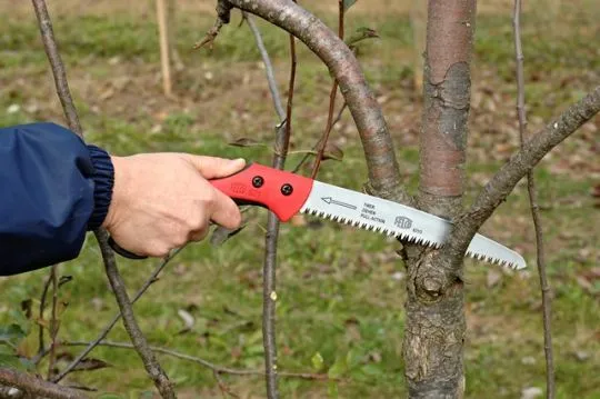 FELCO 621 Baum- und Astsäge Kompakt