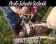 Anleitung zum FELCO Profischnitt