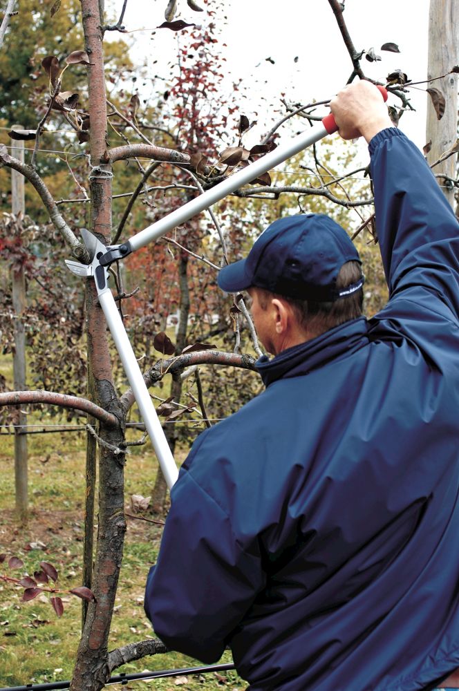 FELCO 230 Astschere mit geradem Amboss