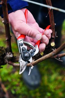 FELCO 14 Kompakt Garten- Rebschere für kleine Hände