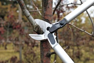 FELCO 230 Astschere mit geradem Amboss