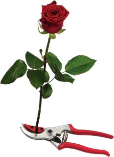 FELCO 4CH Blumen-Präsentierschere