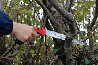 FELCO 611 Baum- und Astsäge 53cm Säge