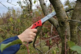 FELCO 621 Baum- und Astsäge Kompakt