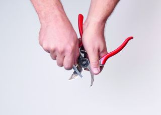 FELCO 904 Schleifwerkzeug
